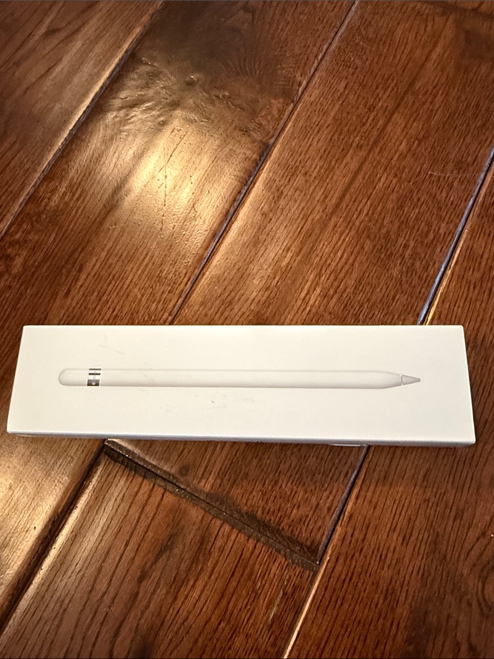 Apple White Pencil Stylus for iPad 1st generation